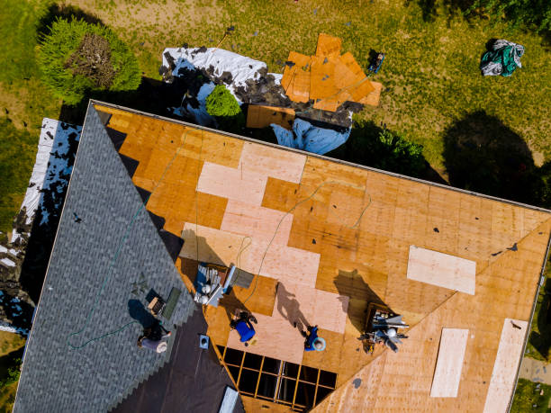Best Storm Damage Roof Repair  in Cabool, MO